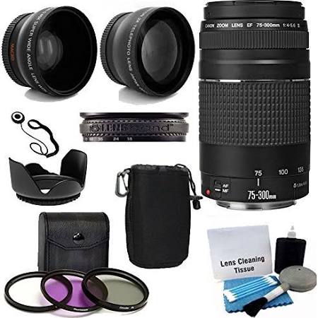 Canon 75-300mm f/4.0-5.6 EF III Lens + Additional Accessories