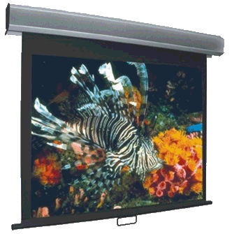 Vutec Econo Pro Manual Wall Front Projection Screen 75-Inch 4:3 Format