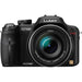 Panasonic Lumix DMC-FZ100 Digital Camera - NJ Accessory/Buy Direct & Save