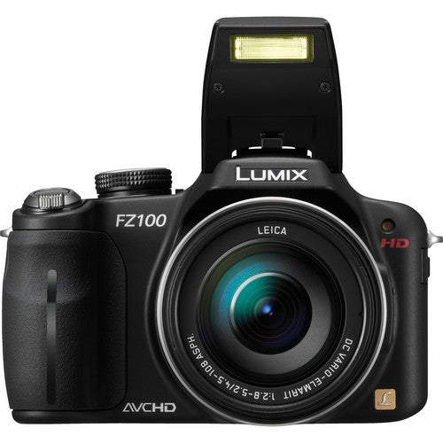 Panasonic Lumix DMC-FZ100 Digital Camera