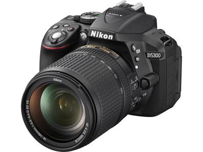Nikon D5300 Camera w/Nikon 18-140mm Lens - Grey USA