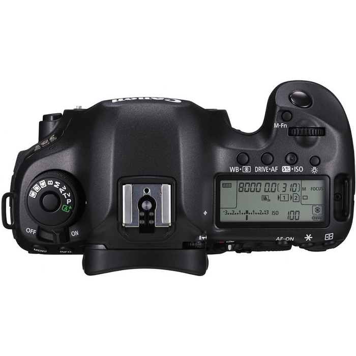 Canon EOS 5DS SLR DSLR Camera + 70-300mm + 6.5mm Fisheye + 24-105mm STM + 650-2600mm + Case + 128GB Bundle