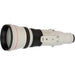Canon EF 800mm f/5.6L IS USM Lens USA