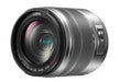 Panasonic Lumix G Vario 14-140mm f/3.5-5.6 ASPH. POWER O.I.S. Lens (Silver/Black)
