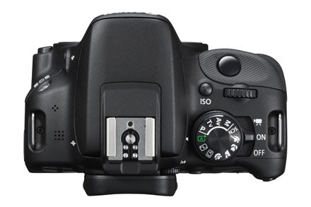 Canon EOS Rebel SL1/250D (SL3) DSLR Camera -Body Only