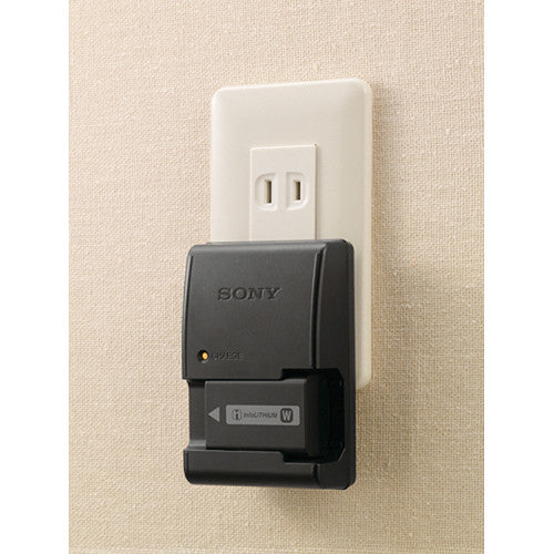 Sony BC-VW1 AC Charger for W Series Battery