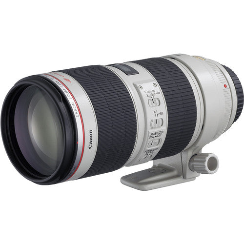 Canon EOS C100 Mark II Cinema EOS Camera with Triple Lens Kit USA