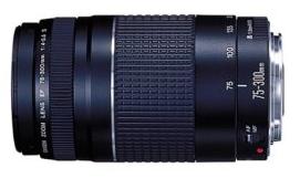 Canon 75-300mm f/4.0-5.6 EF III USM Lens