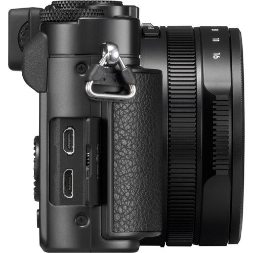 Panasonic Lumix DC-LX100 II Digital Camera Editor Bundle