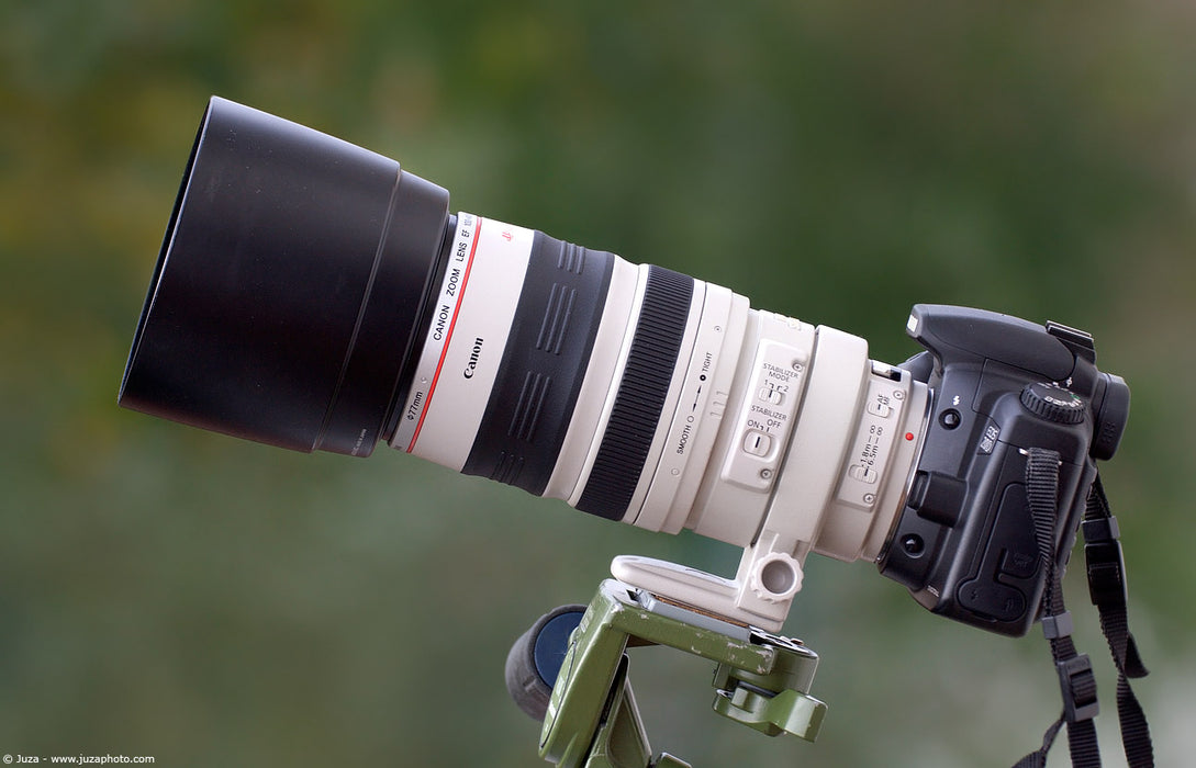 Canon EF 100-400mm f/4.5-5.6L IS USM Lens with Ultimate Kit