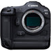 Canon EOS R3 Mirrorless Camera with RF 100mm f/2.8 Macro Lens