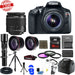 Canon EOS Rebel T6/2000D DSLR Camera with 18-55mm Lens| 500mm Preset Lens Essential Bundle