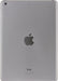 Apple 16GB iPad Air (Wi-Fi Only, Space Gray)