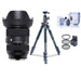 Sigma 24-70mm F2.8 DG DN Art Lens for Sony E - With Vanguard Tripod and Accessories