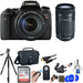 Canon EOS Rebel T6s DSLR Camera with EF-S 55-250mm F4-5.6 Lens + 64GB SDXC Card + Case + Saver Bundle
